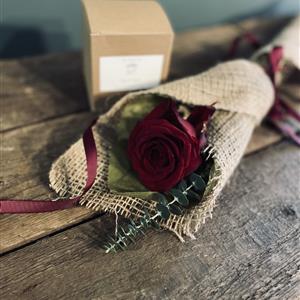 Single Red Rose