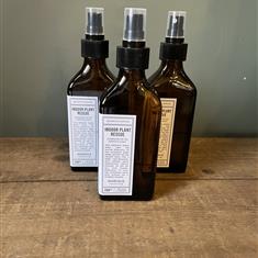 Norfolk Natural Living Plant Rescue 