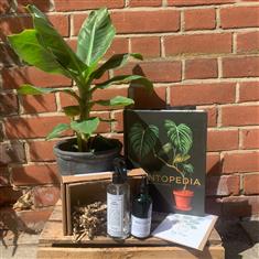 Luxury Gift Bundle 