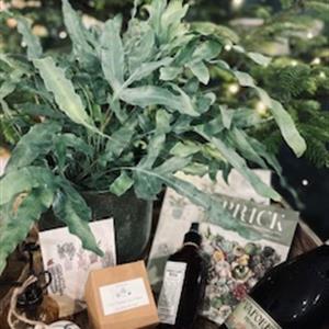 The Plant Hut Hamper