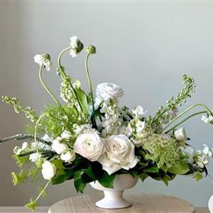 &#39;Flower Frog&#39; Workshop