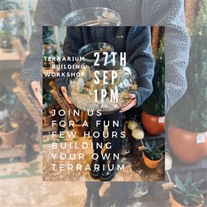 Terrarium Building - 27th Sep 
