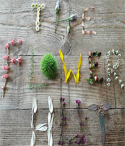 Florists Choice
