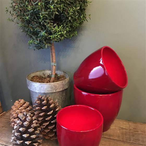 plastic potting plants Panterra Oval Planters